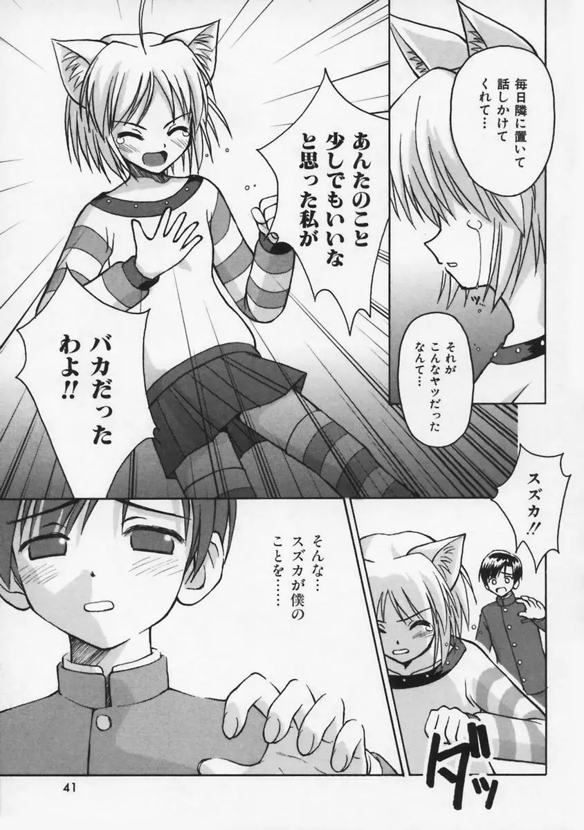 またネコっ! Page.42