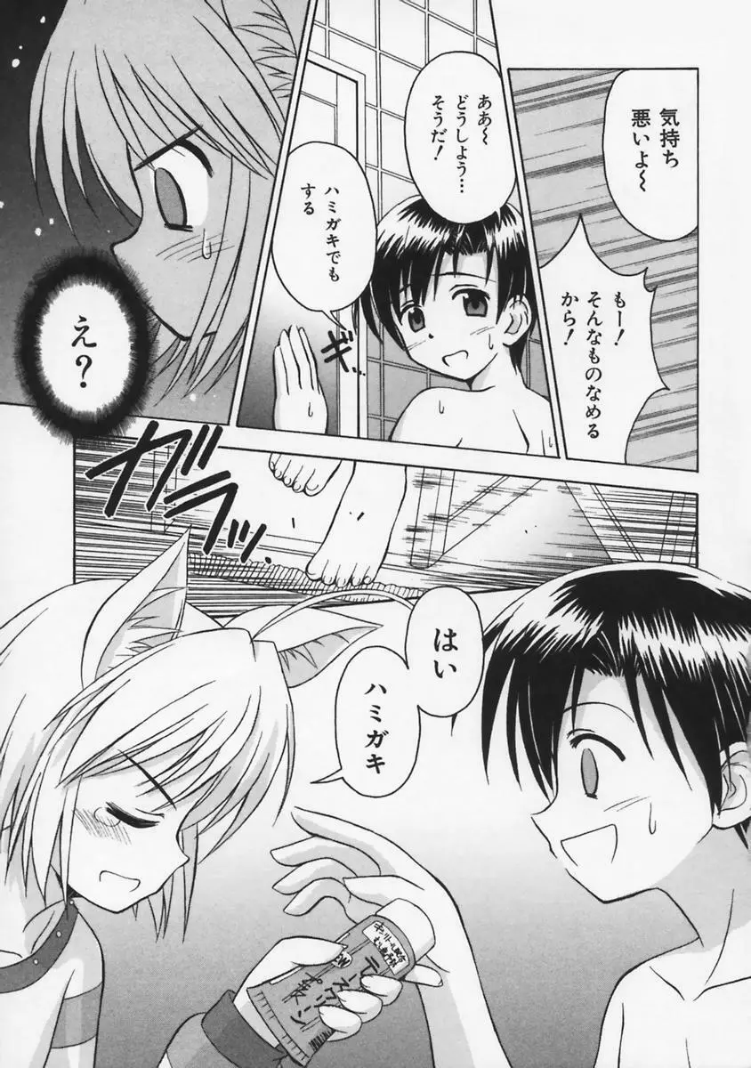 またネコっ! Page.64