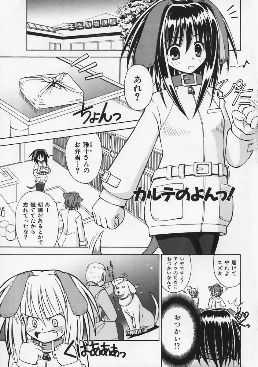 またネコっ! Page.66