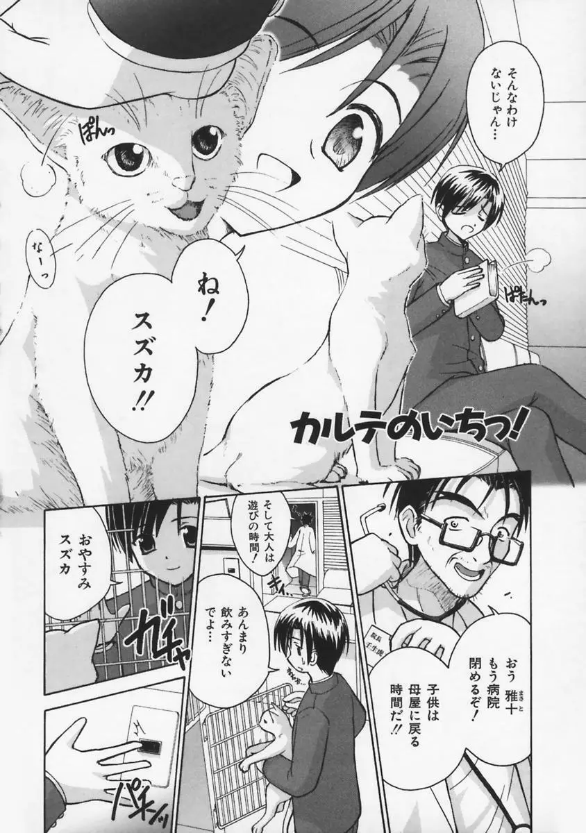 またネコっ! Page.7