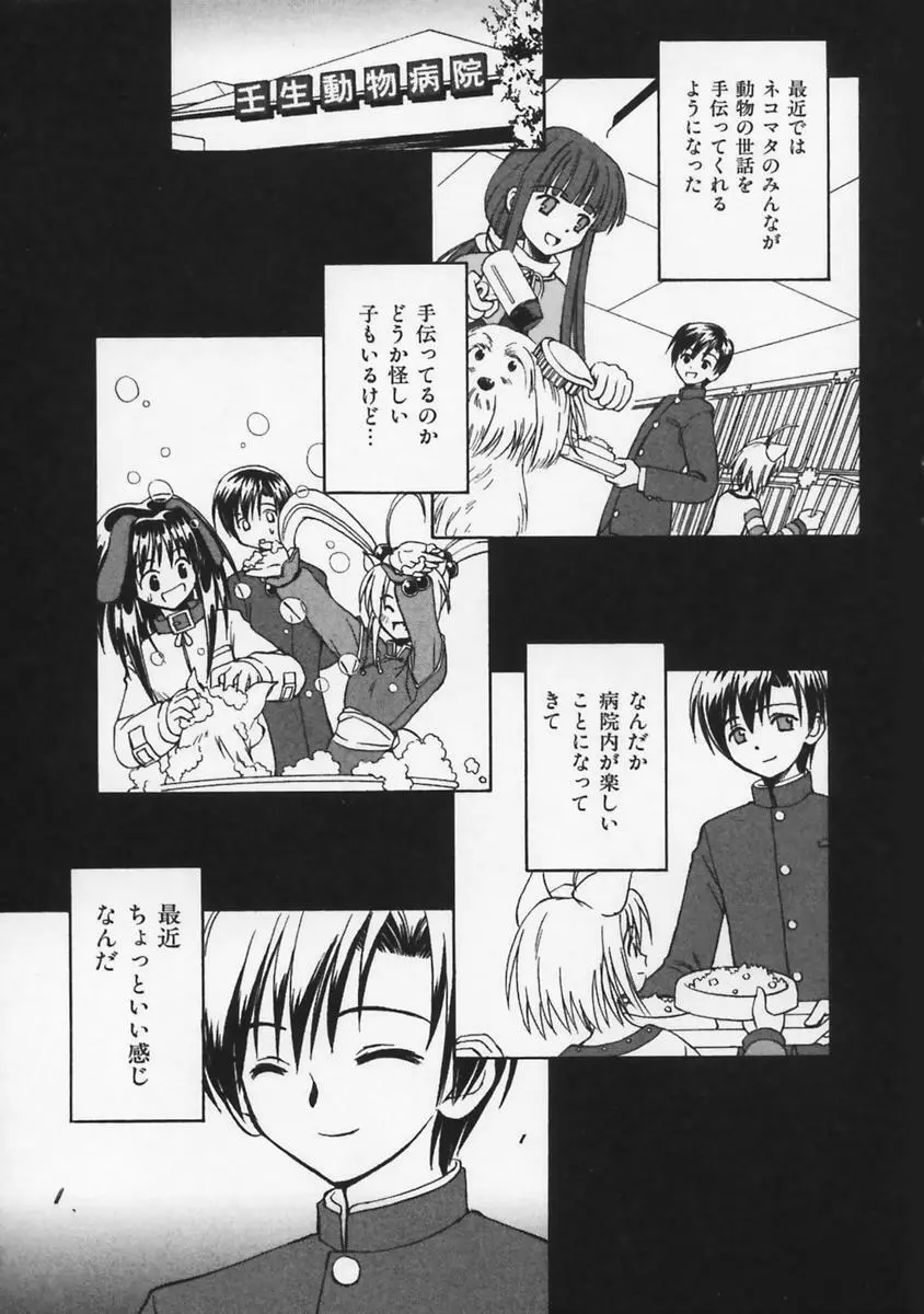 またネコっ! Page.84