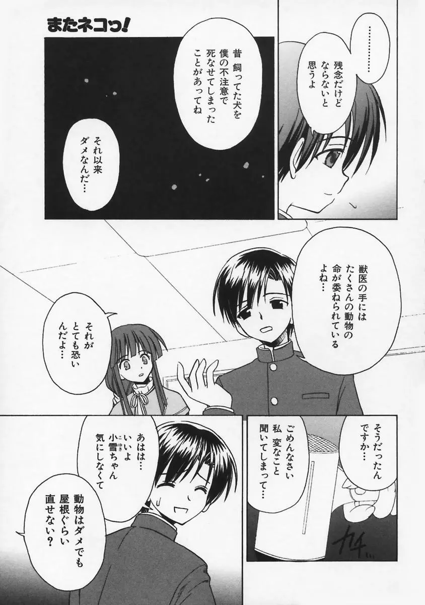 またネコっ! Page.86