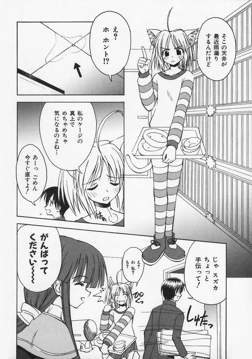 またネコっ! Page.87
