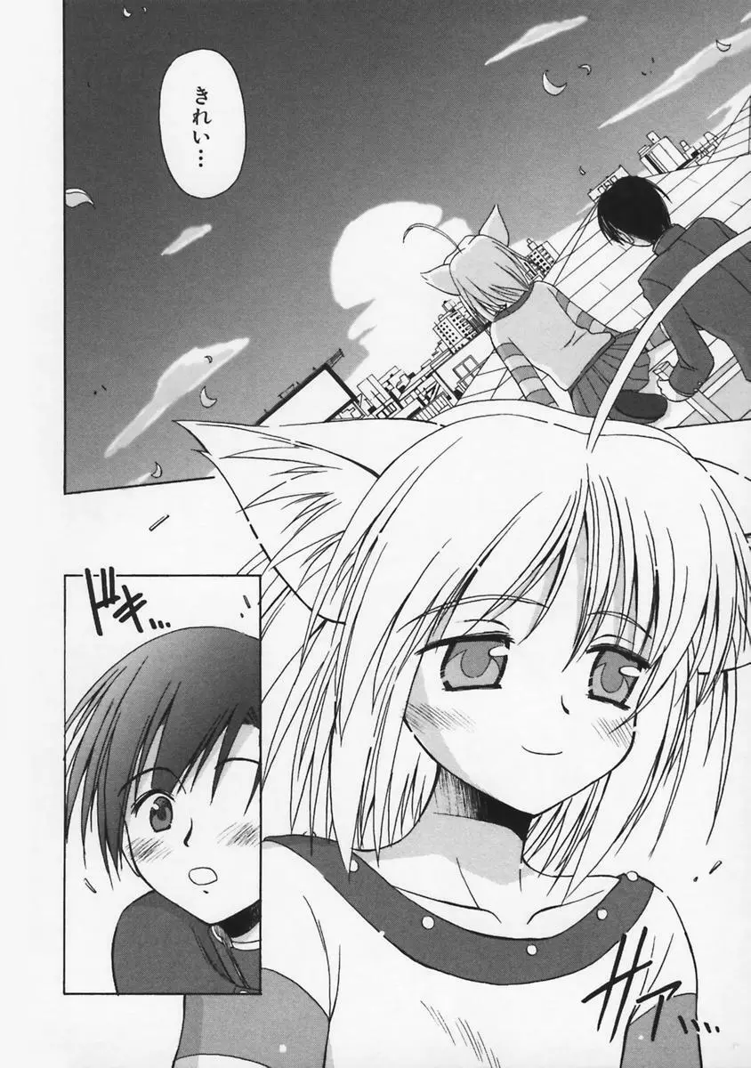 またネコっ! Page.89