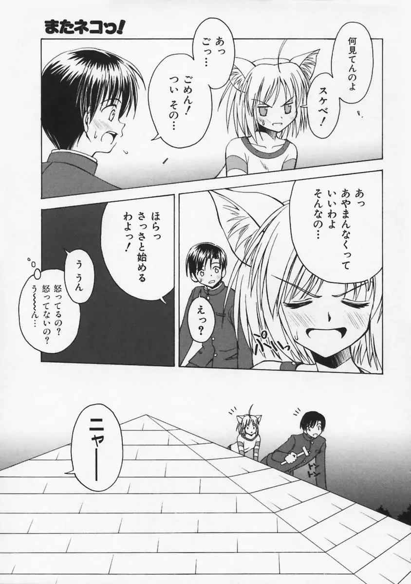 またネコっ! Page.90