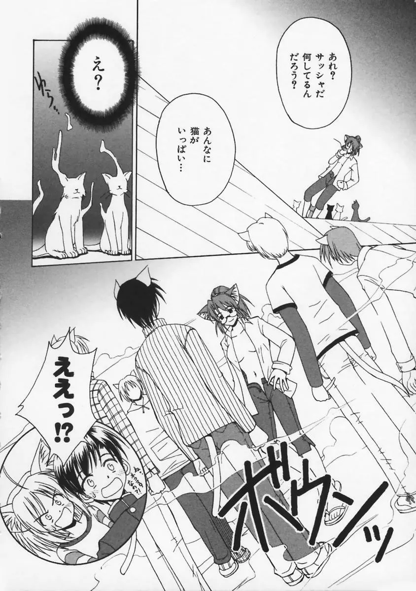 またネコっ! Page.91