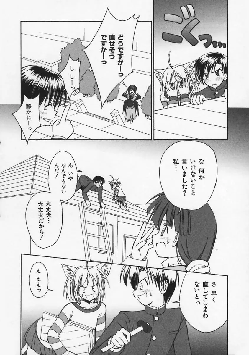 またネコっ! Page.95