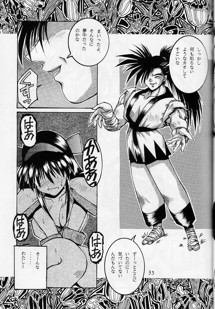 118 MEGA AINU Page.34