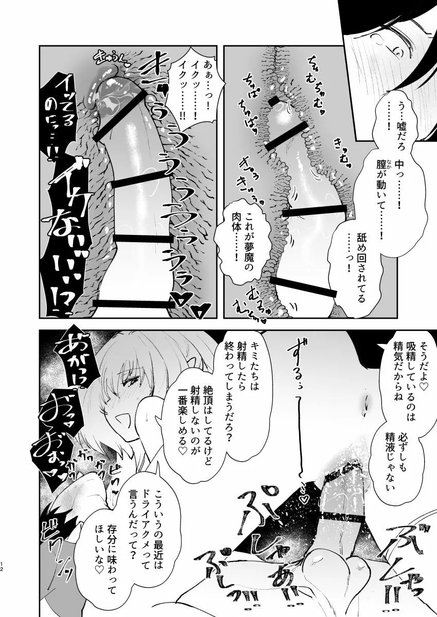 地球最後のサキュバスがカルデアでやらかす本 Page.11