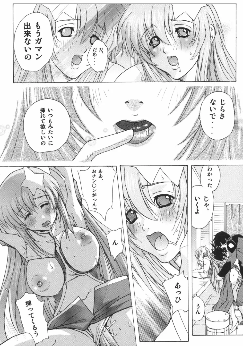 ミーアオンステージ Page.13