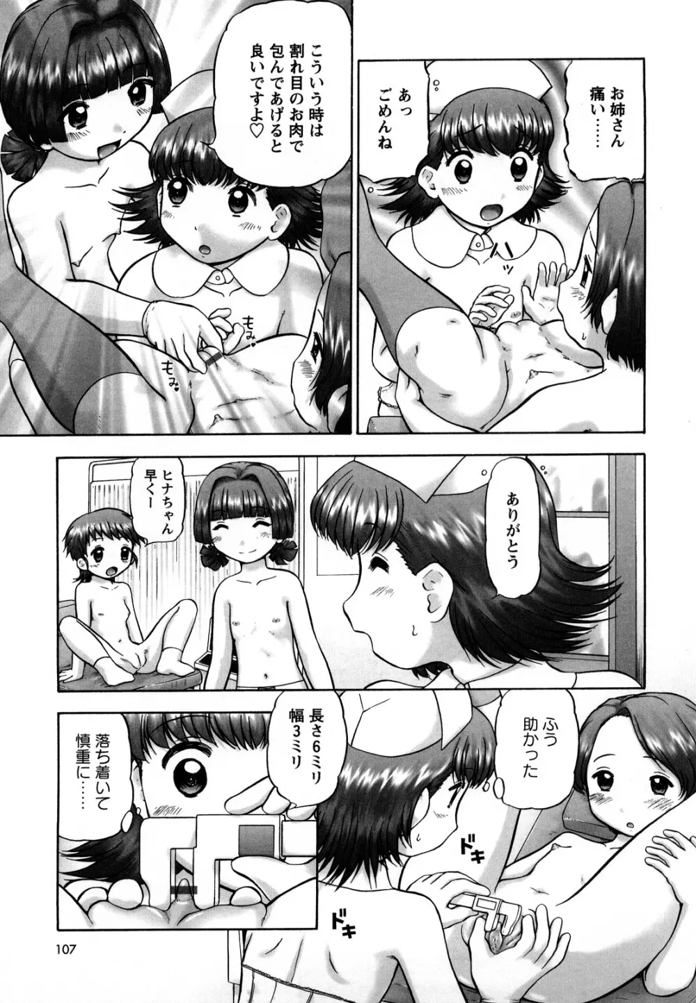 新・仔猫の学習帳 保健看護 Page.106