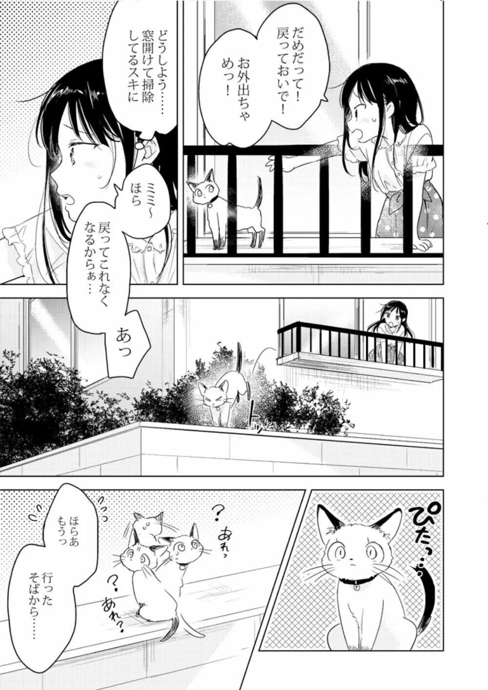 猫は恩返しなどしない。 Page.7