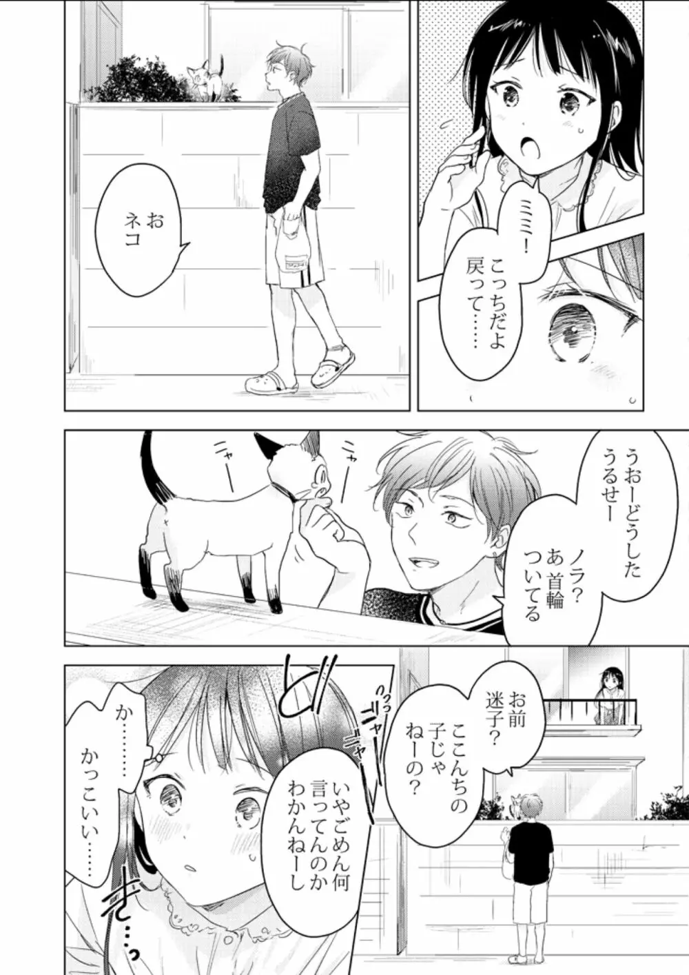 猫は恩返しなどしない。 Page.8