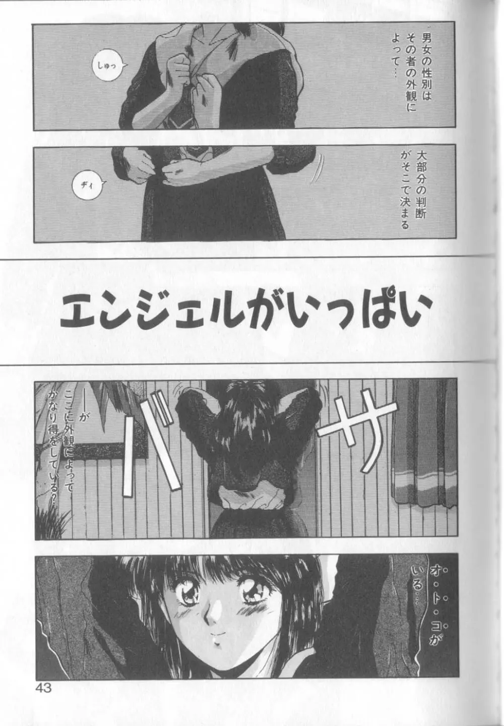 TROPICAL EYES Page.43