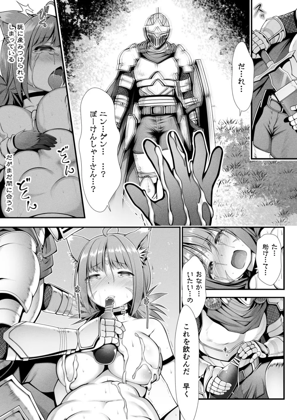 猫狩人ちゃんはぼーけんしゃにあこがれる Page.18