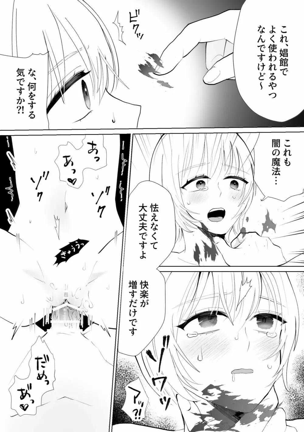 聖女なのに護衛騎士を闇堕ちさせてしまいました Page.26