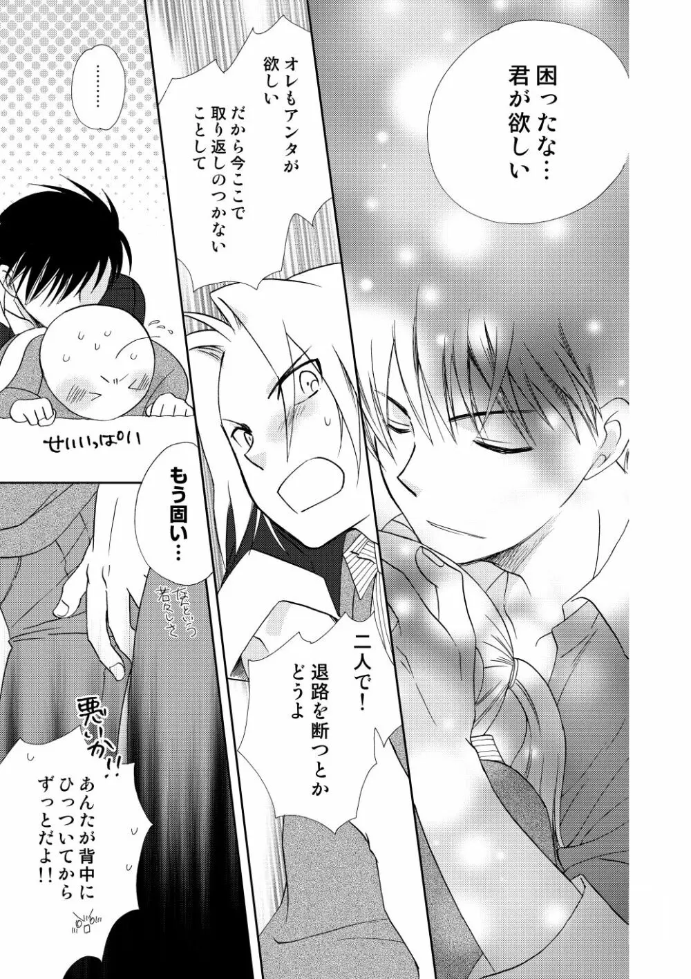 フリュイ・ヴェール Page.95