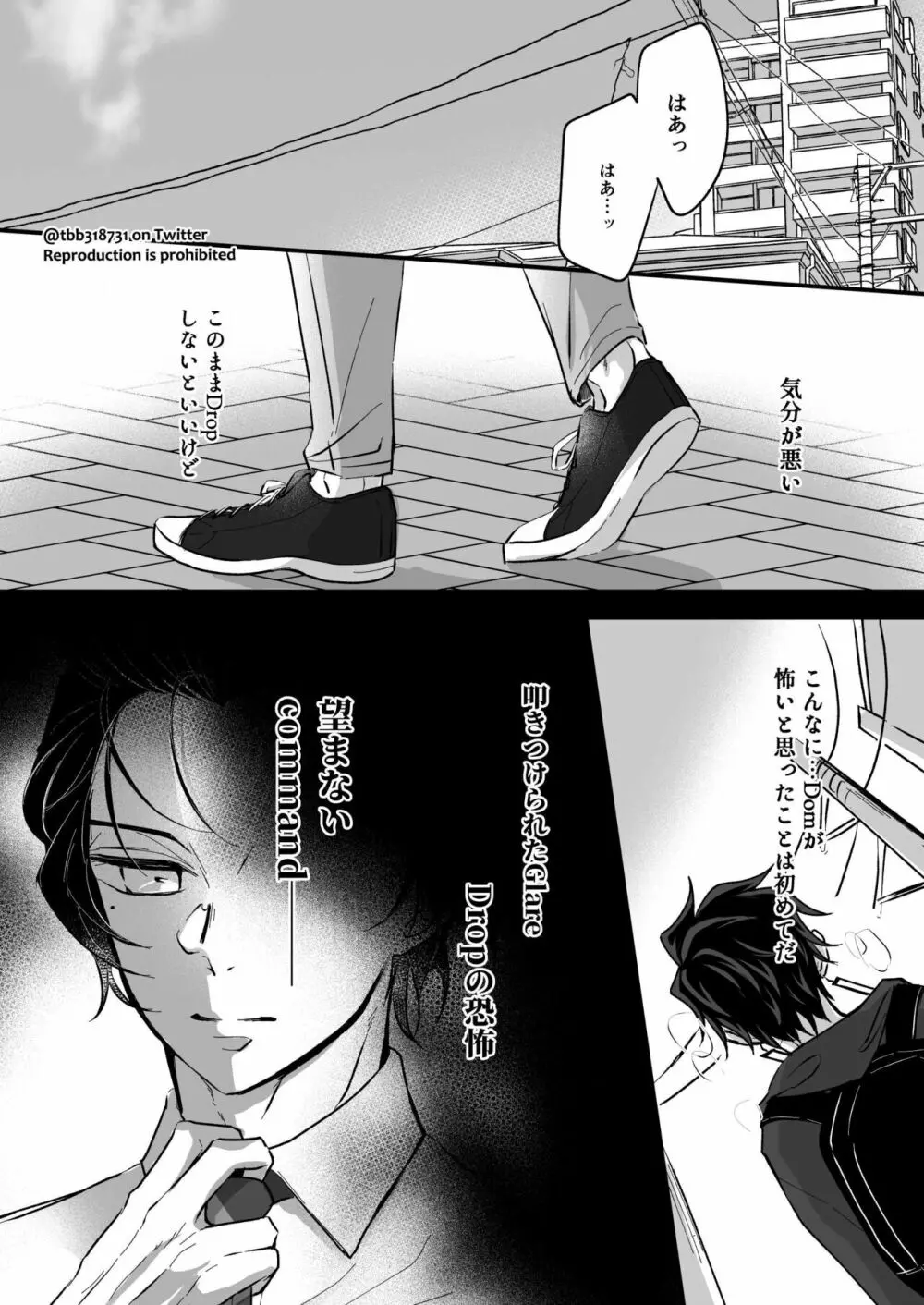 竹炭玉簾③ Page.29