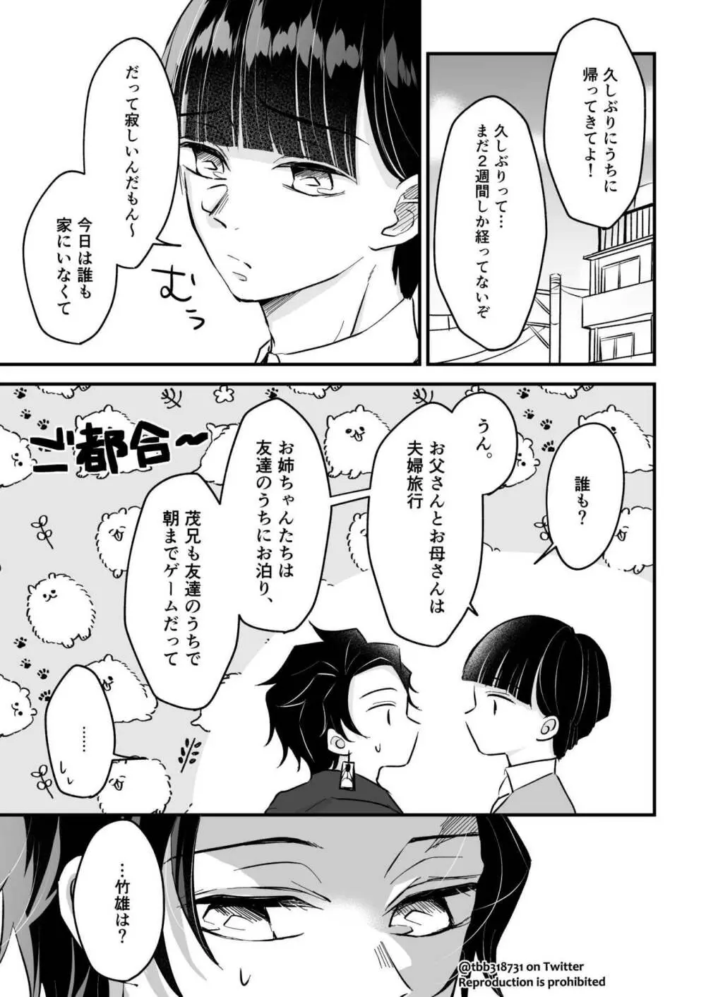 竹炭玉簾③ Page.32