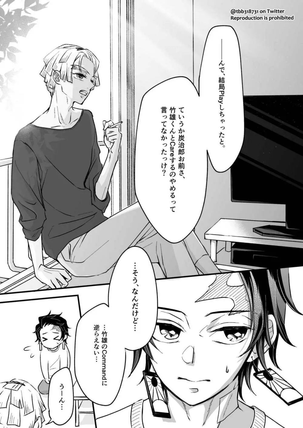 竹炭玉簾③ Page.4