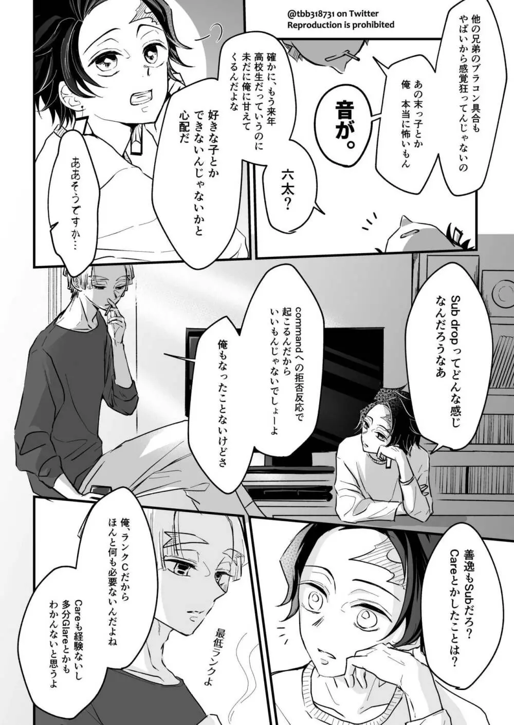 竹炭玉簾③ Page.7