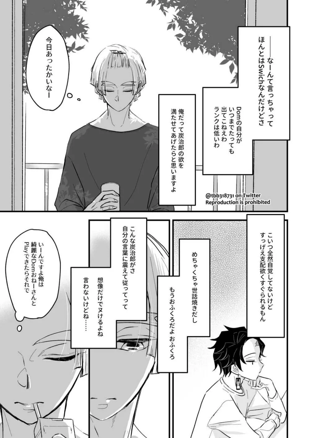 竹炭玉簾③ Page.8