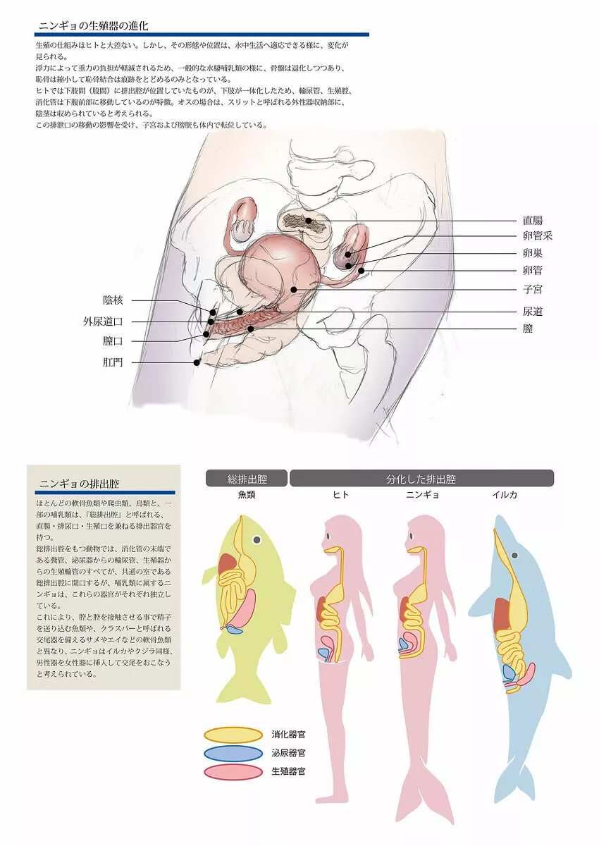 ビッチマーメイド 01-14 Page.30