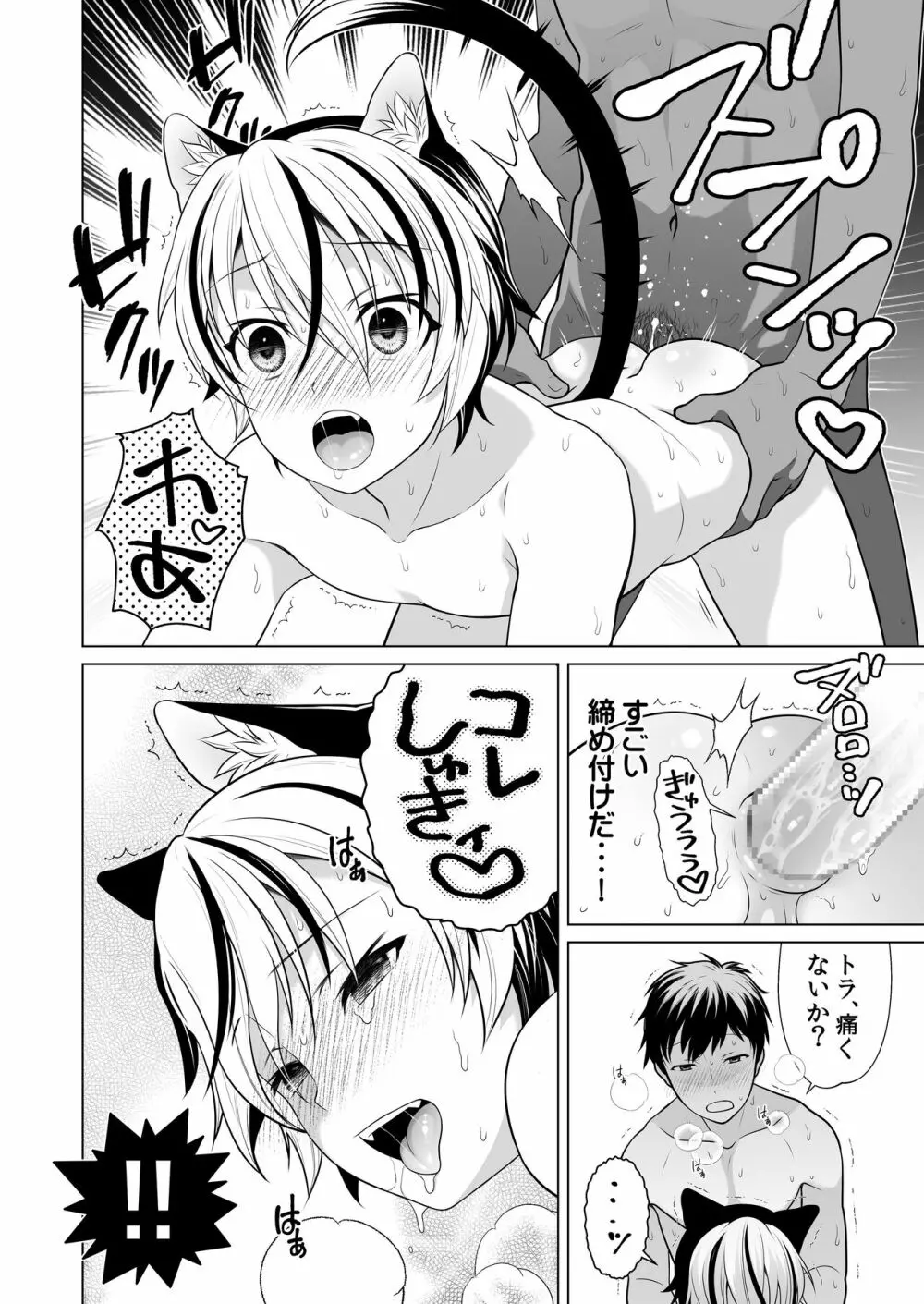 好みのノラ愛玩獣人におどされてます Page.15