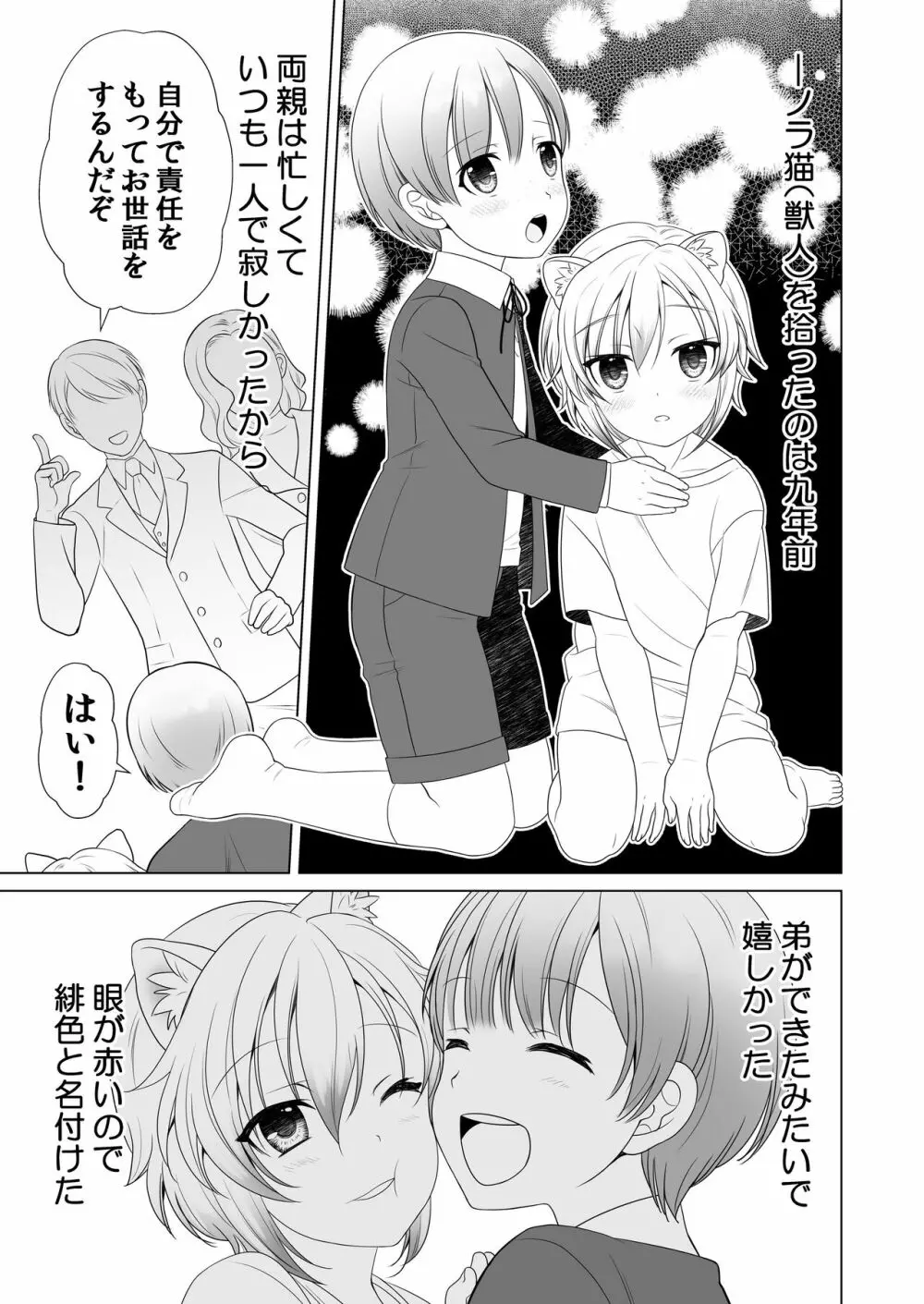 好みのノラ愛玩獣人におどされてます Page.26