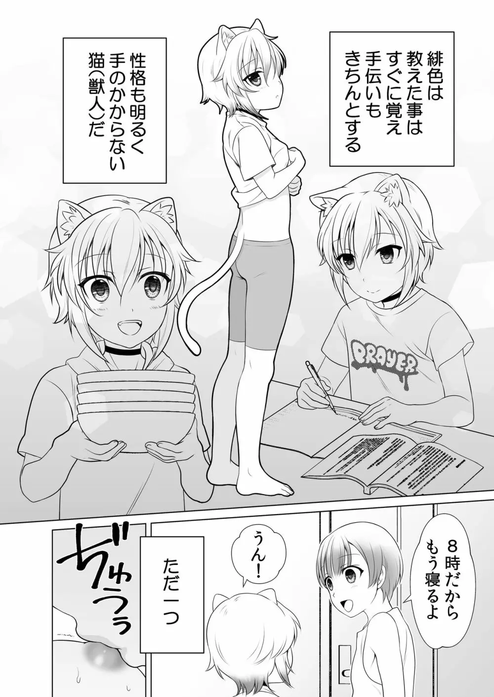 好みのノラ愛玩獣人におどされてます Page.27