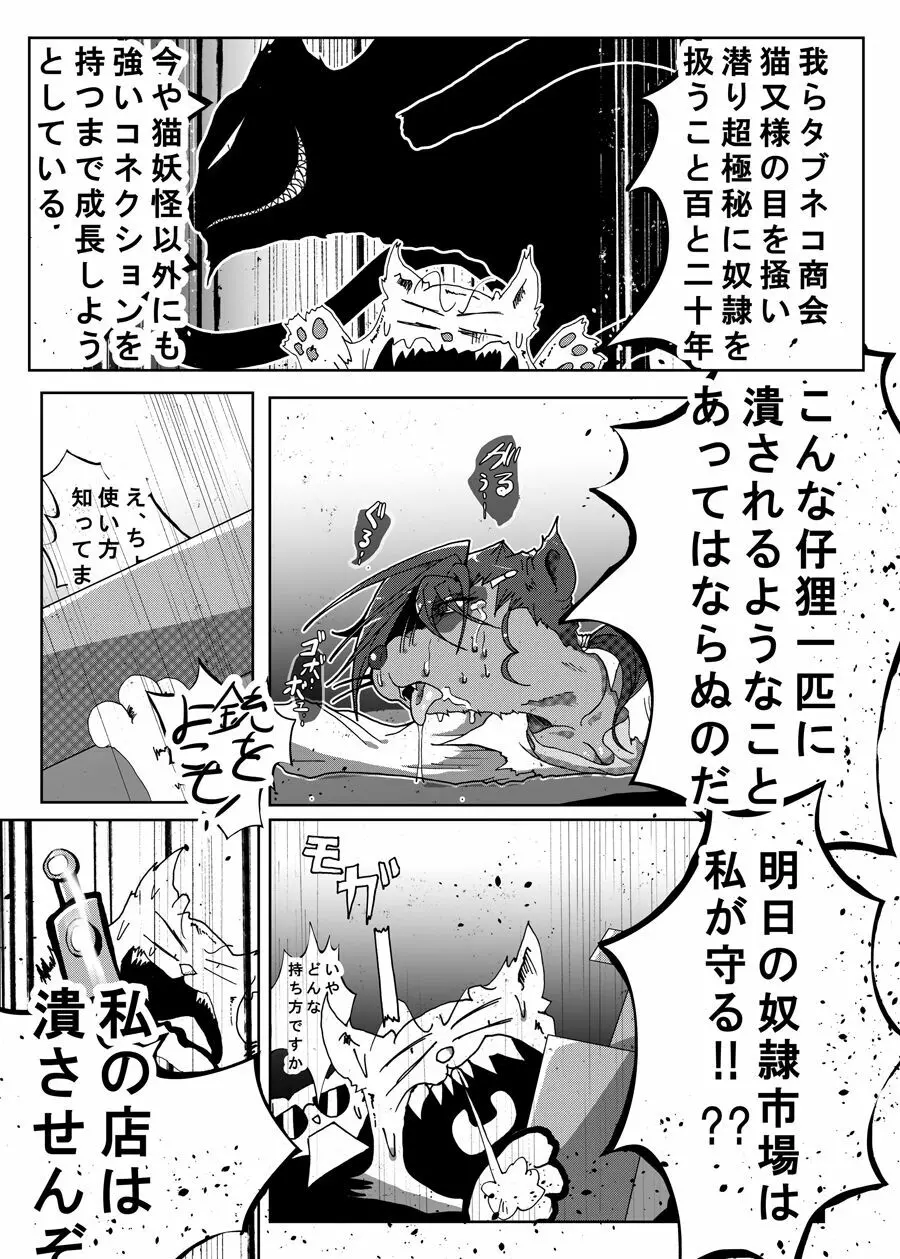 狸猫 ねこぶんのたぬき Page.23