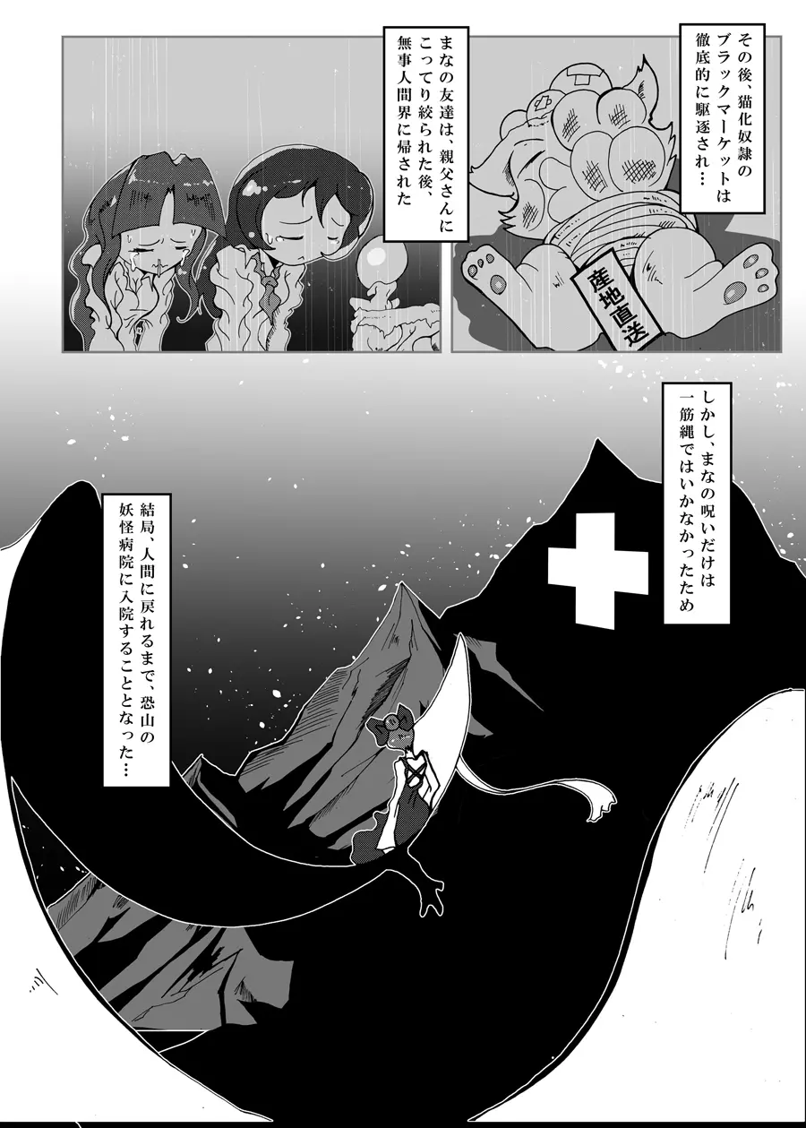 狸猫 ねこぶんのたぬき Page.27