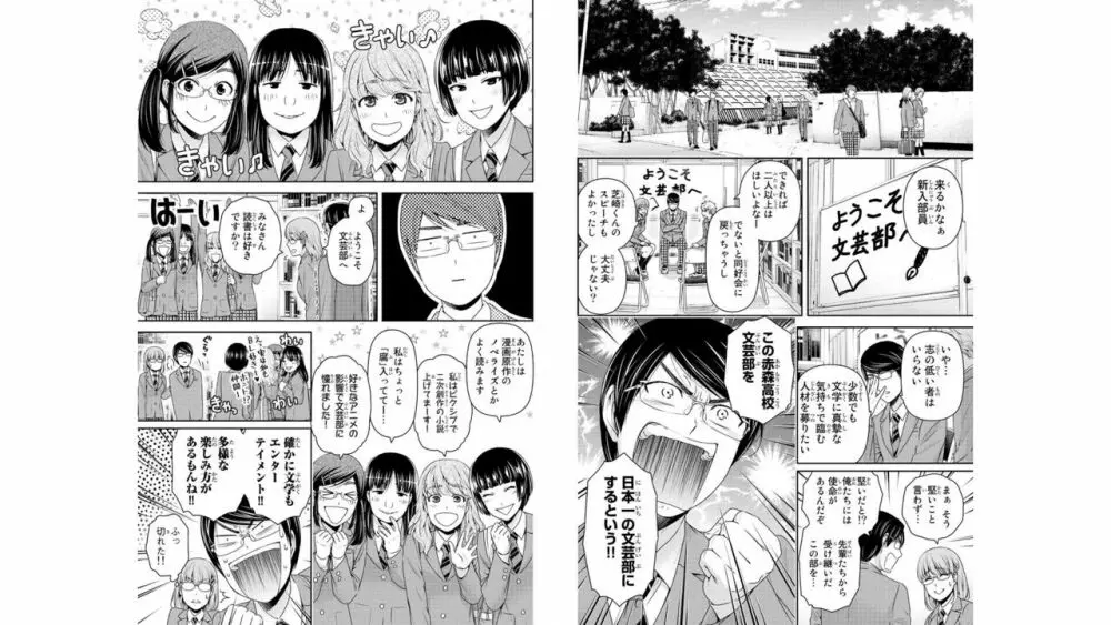 ドメスティックな彼女 公式薄い本 Page.63