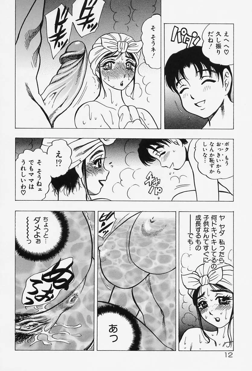 淑女の性癖 Page.14