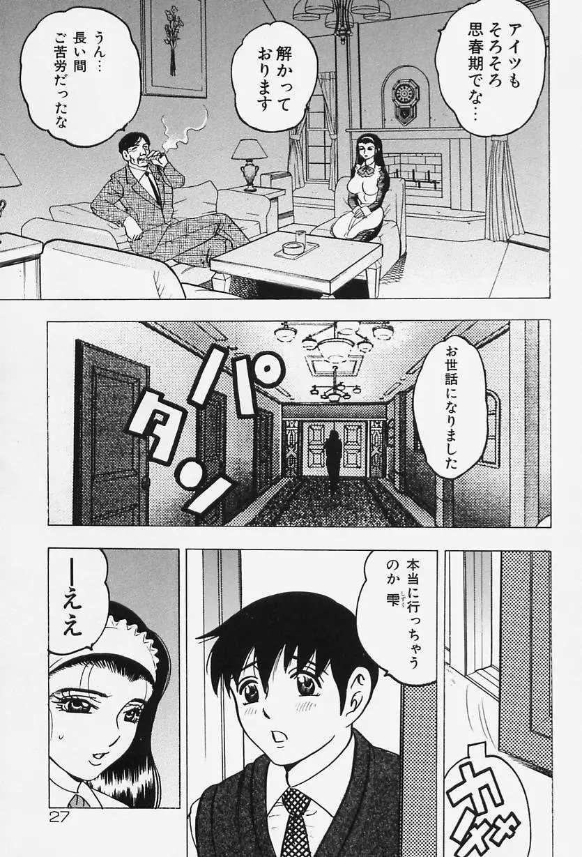 淑女の性癖 Page.29