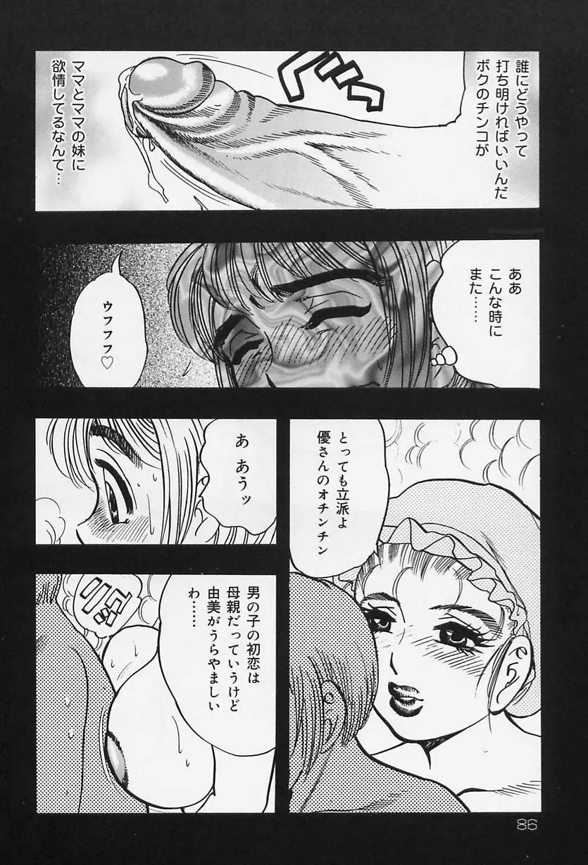 淑女の性癖 Page.88