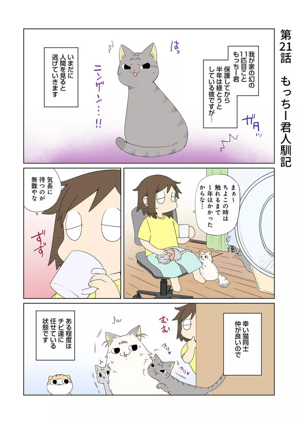 COMIC アナンガ・ランガ Vol.95 Page.303