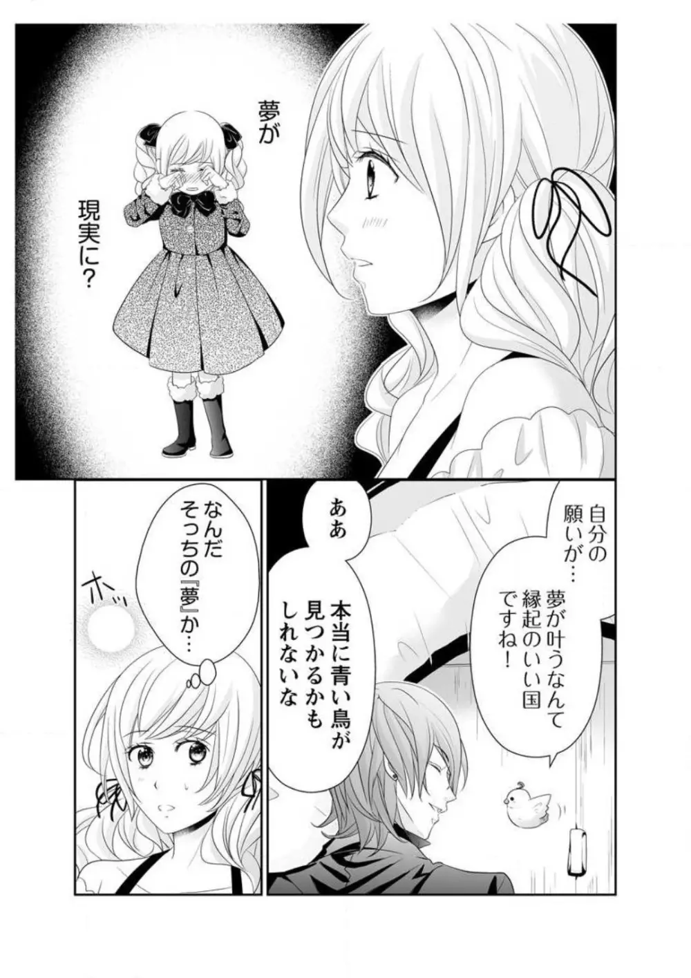 えろ◆めるへん 青い鳥 1-10 Page.163