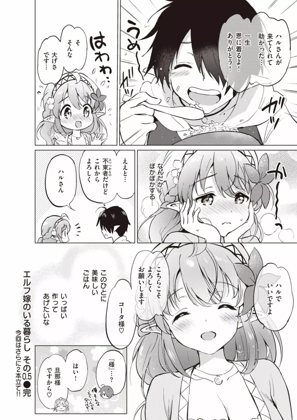 エルフ嫁のいる暮らし 1-4.5 Page.133