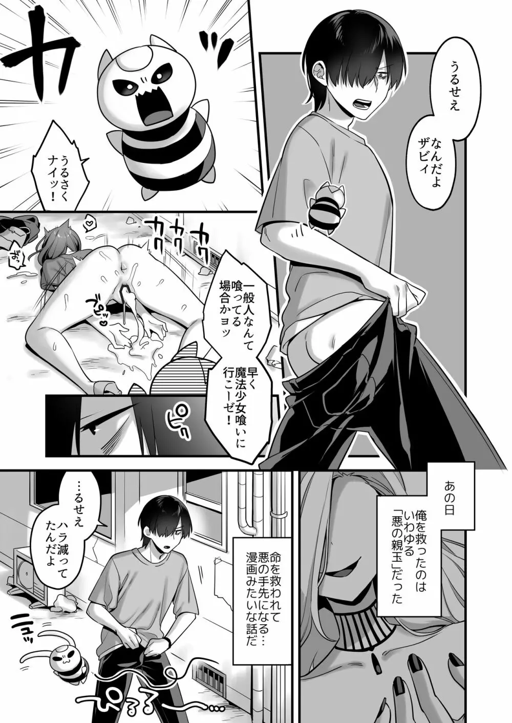 悪の手先になったので。~魔法少女を凌辱します~ Page.5
