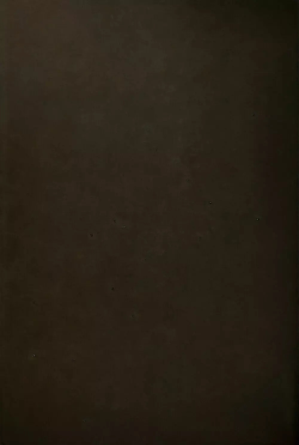 駘蕩愛死 Page.87