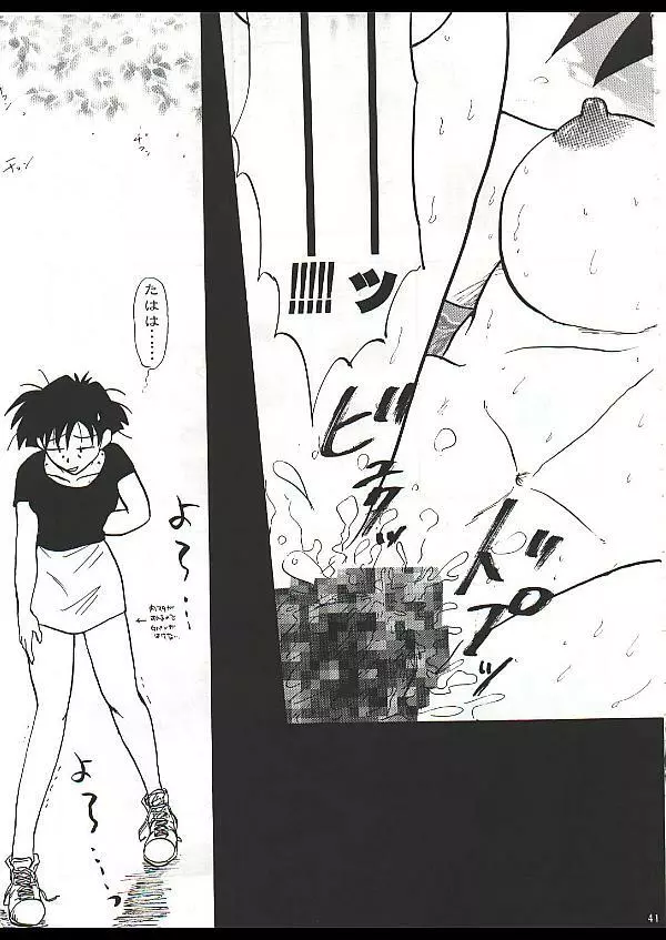 Dragon Ball Camp - Jap Page.17