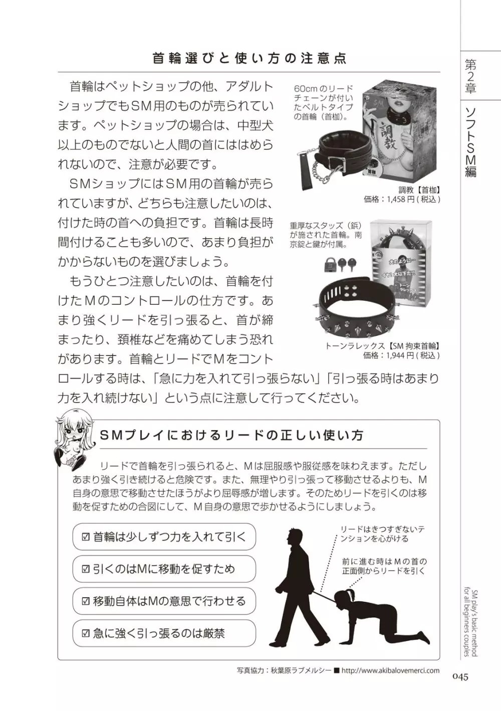 いますぐデキる 図説SMプレイマニュアル Page.45