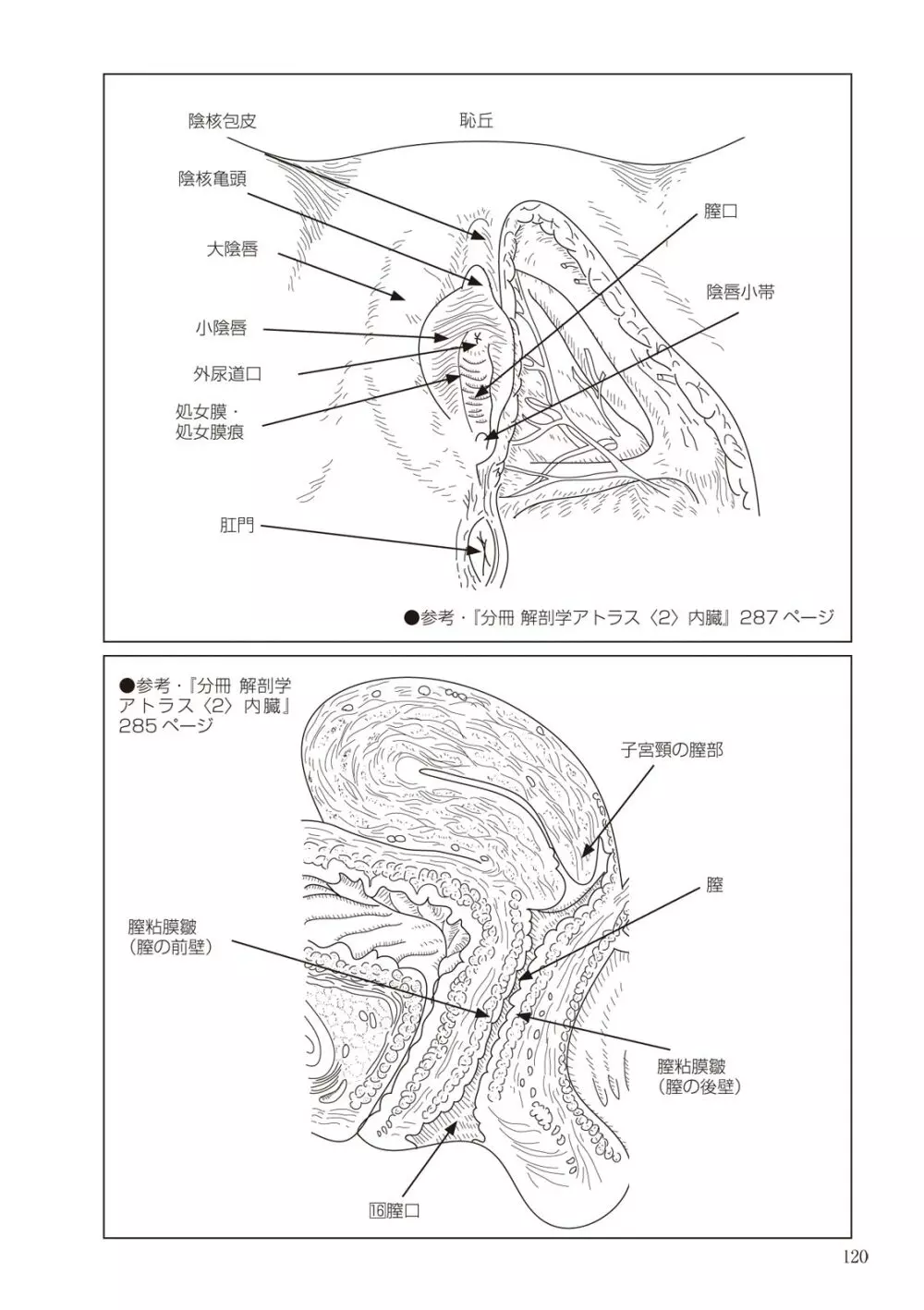 大人のお医者さんごっこ 検査・測定編 Page.120