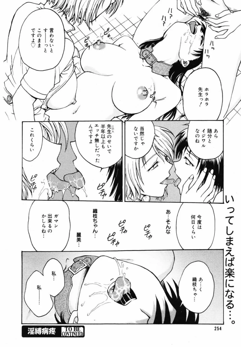 COMIC メガプラス 2007年5月号 Vol.43 Page.252