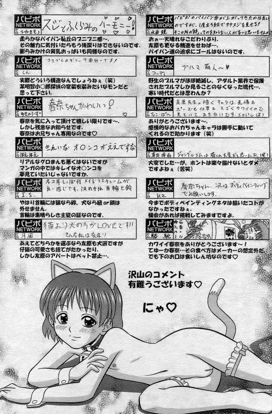 COMIC パピポ 2007年06月号 Page.145