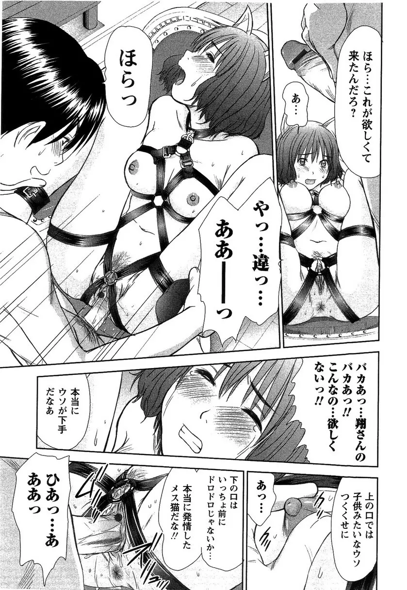 HI·TO·MI ~ご主人様は幼なじみ~ Page.117
