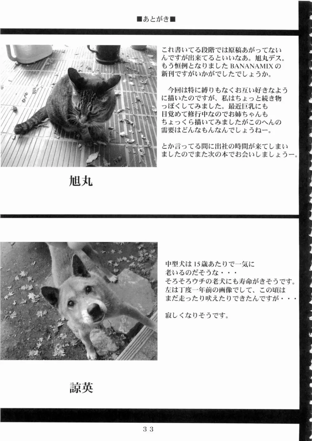 バナナミックス6 Page.32