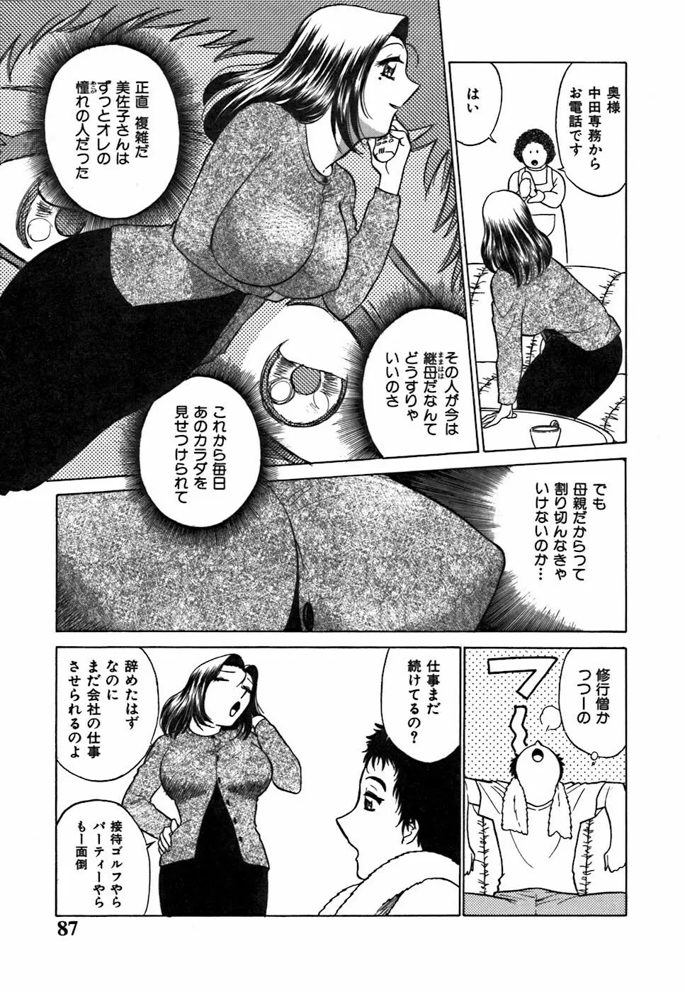 キミが望むカタチ Page.87