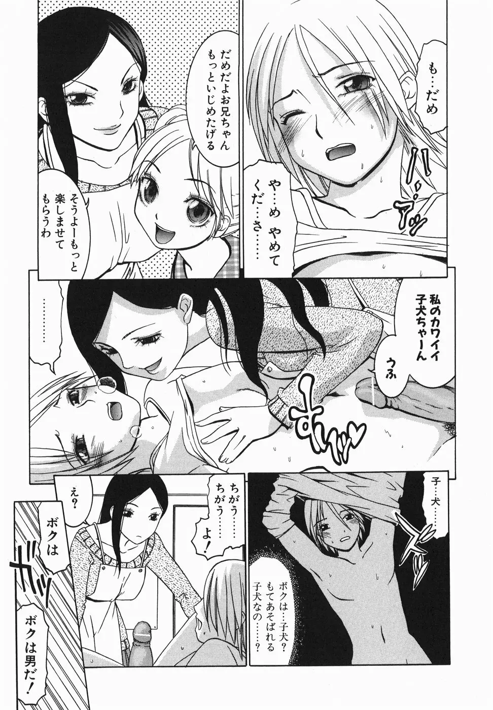 ペットドッグス Page.13